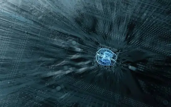 Japanese N5 | Basic | Tr.Rose